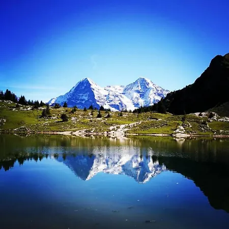דירה Swisshut Stunning Views Alps - Apart. Kirch מרליגן