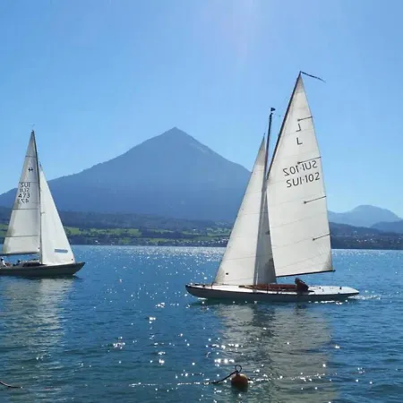 Thun Alps Scenic Views And Concierge By Swisshut *