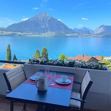 Thun Alps Scenic Views And Concierge By Swisshut 梅尔里根