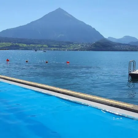 Thun Alps Scenic Views And Concierge By Swisshut Appartement